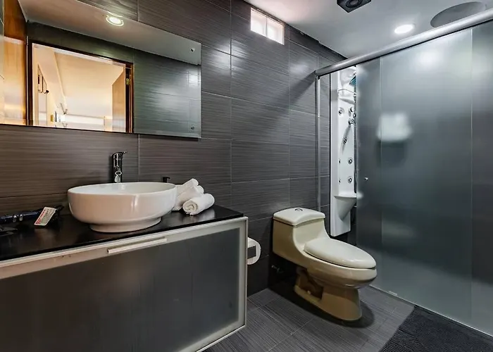 Apartamento Stylish With Private Roof & Jacuzzi México DF